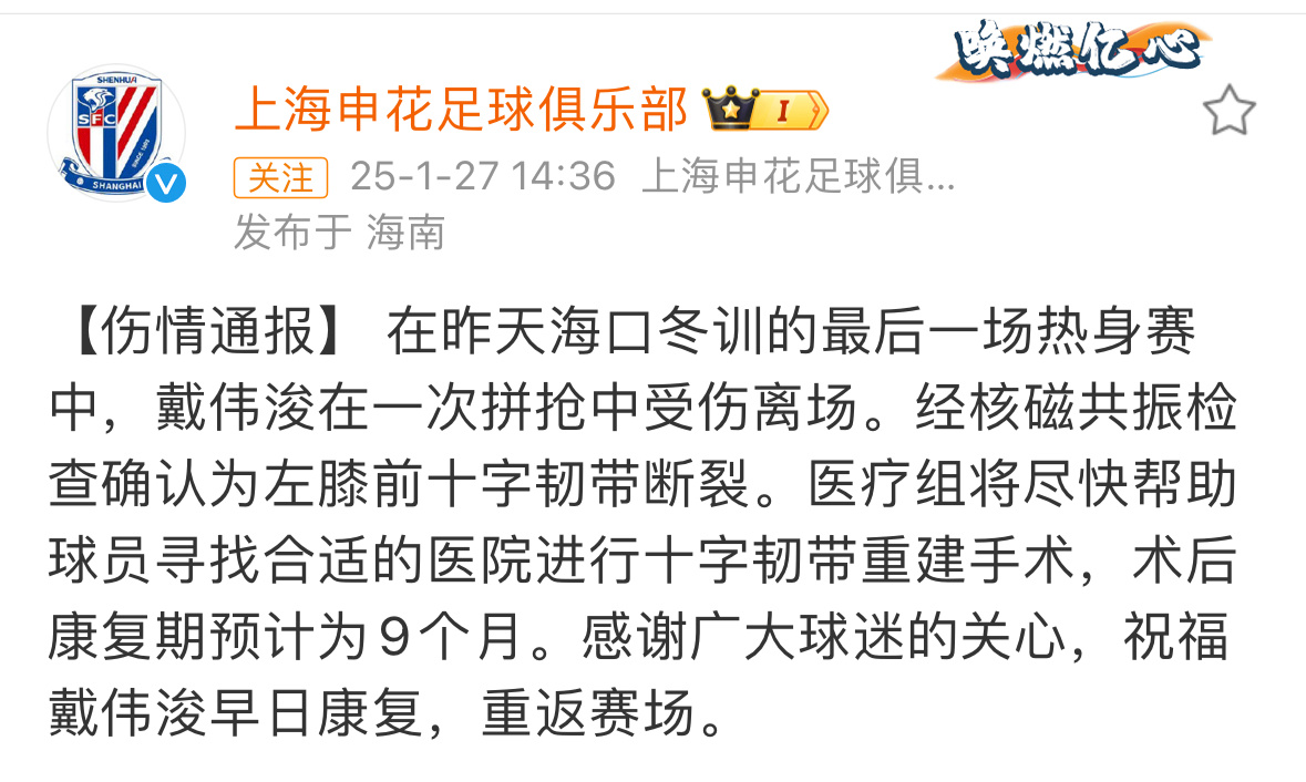上海上港队球员面临伤病困扰的简单介绍
